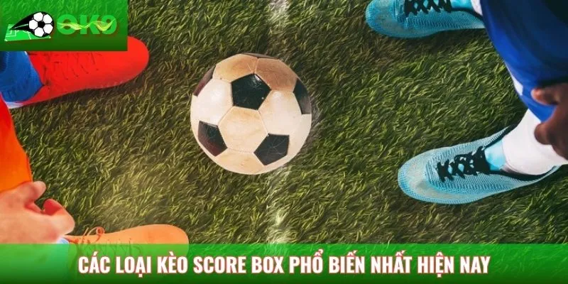 Các loại kèo Score Box phổ biến nhất hiện nay