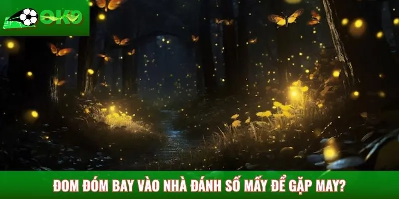 Đom đóm bay vào nhà đánh số mấy để gặp may?