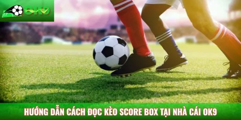 Kinh nghiệm bắt kèo Score Box hiệu quả từ cao thủ