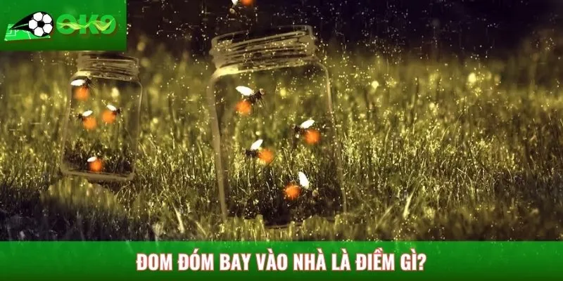 Ý nghĩa của hiện tượng đom đóm bay vào nhà là điềm gì?